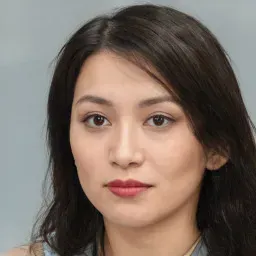 Người dùng Vikram