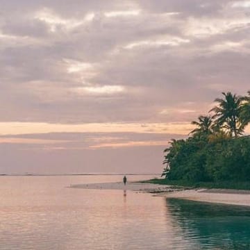 Người dùng Anika